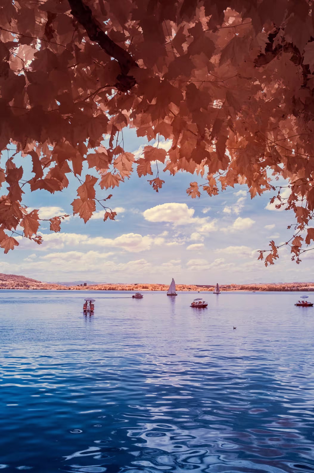 venaziel fotokunst andre wagner infrarot zugersee schweiz